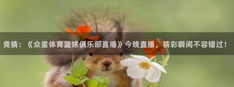 88看球体育