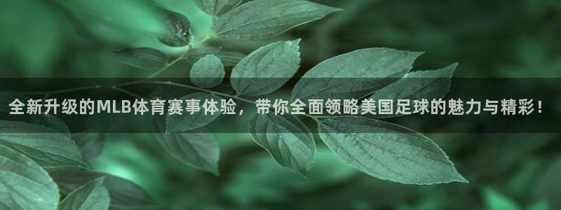 88看球免费nba直播