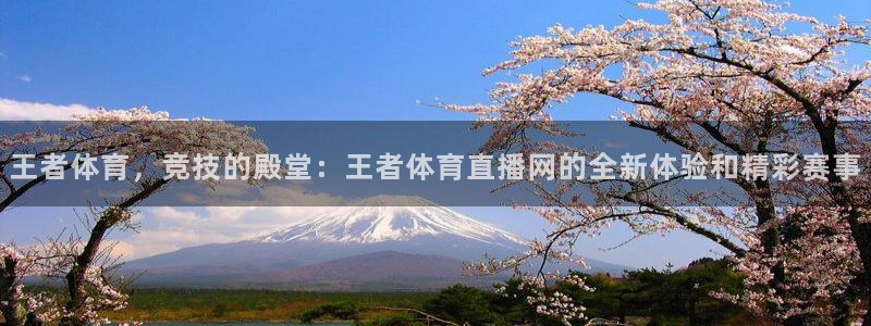 88看球nba直播官网