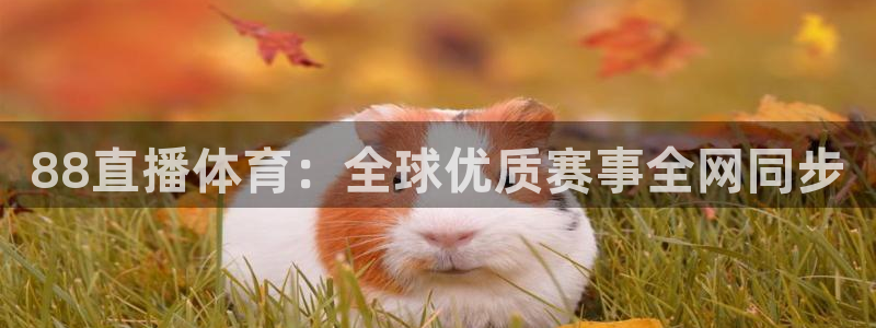 88看球直播在线观看