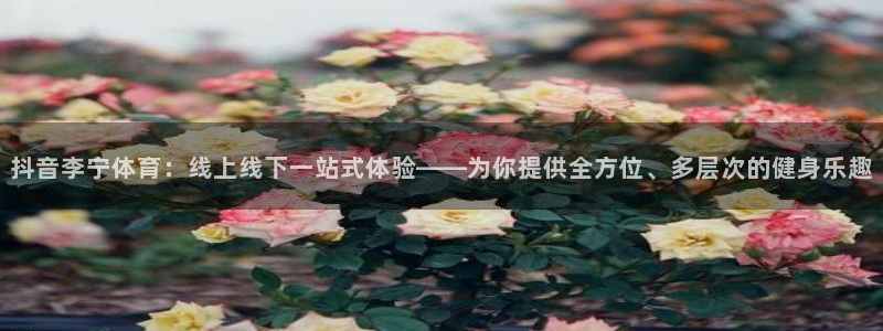 nba直播在线88看球