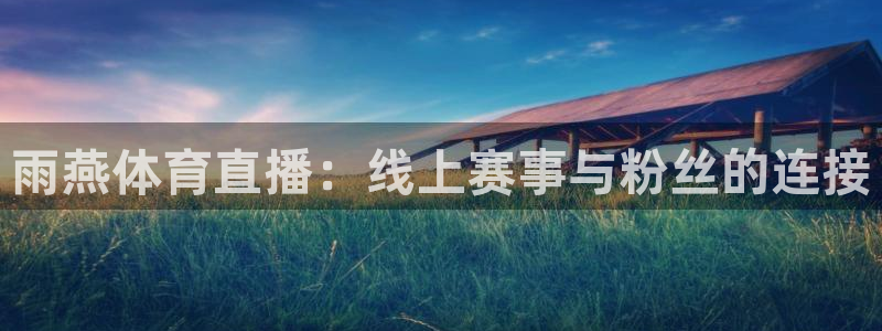 88看球体育：雨燕体育直播：线上赛事与粉丝的连接